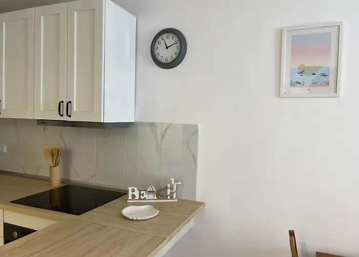 Moonlight * 코라레호